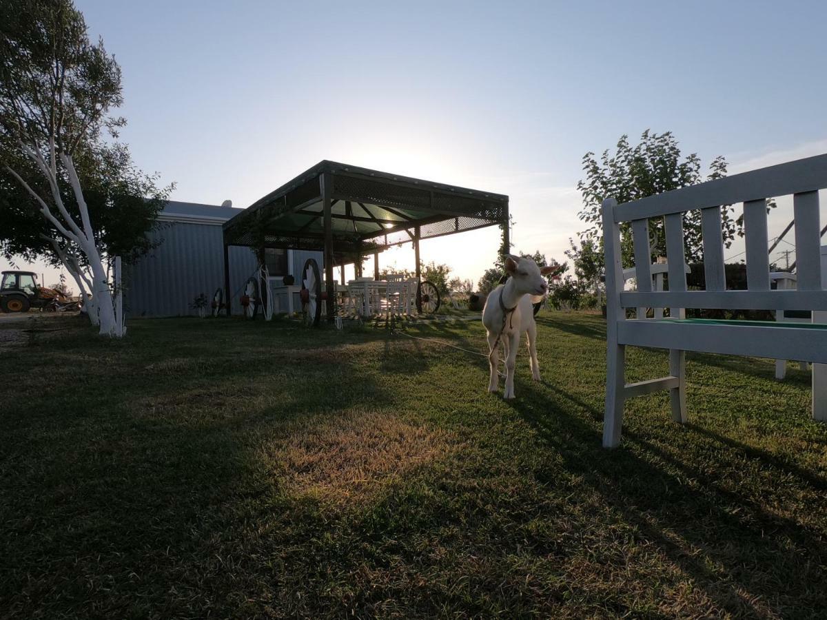 Bed and Breakfast Bagban Bozcaada Exteriér fotografie